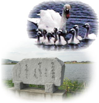 高月池の白鳥と弦打山歌碑